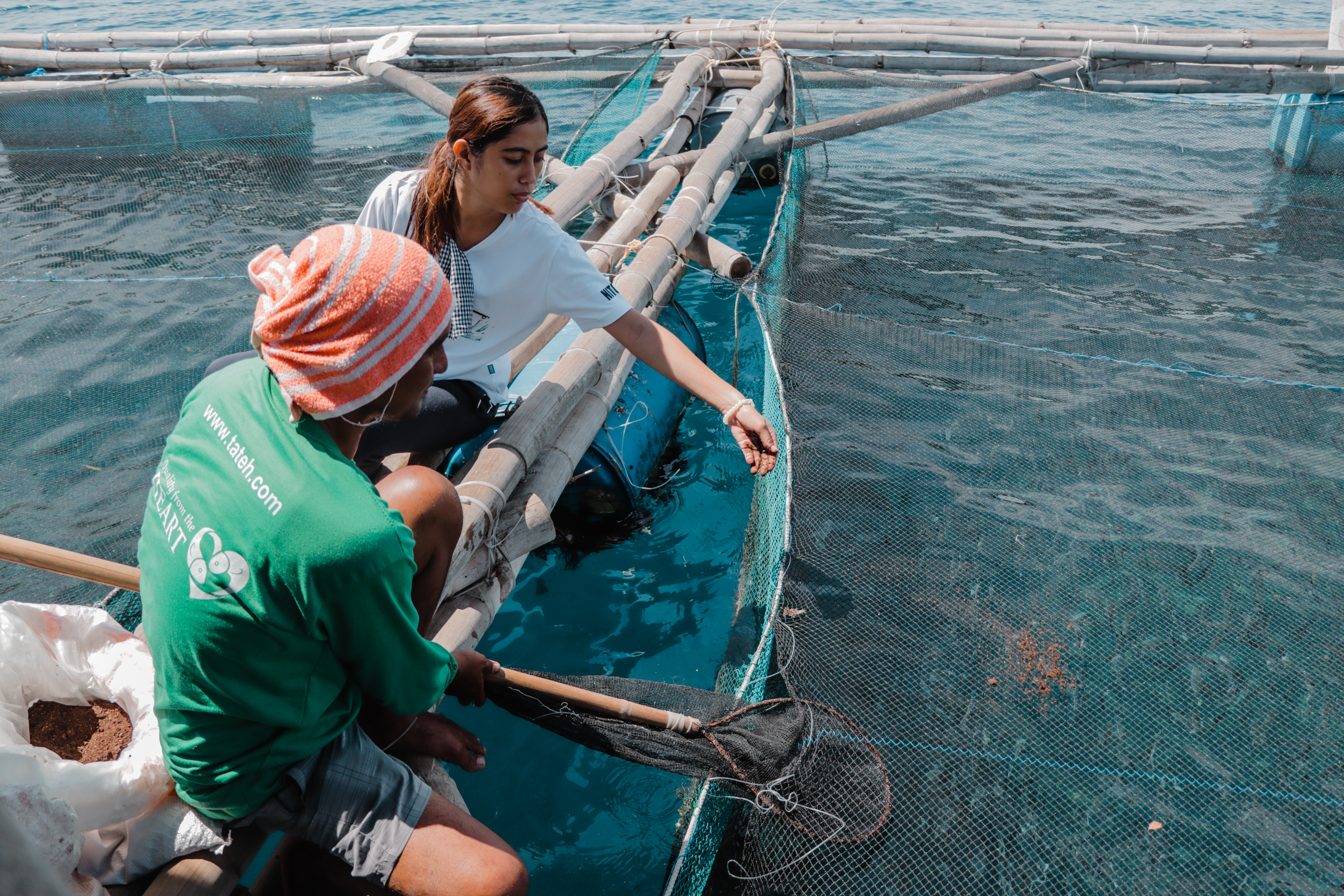 Aquaculture of high value species provide a better livelihood option for many fish farmers