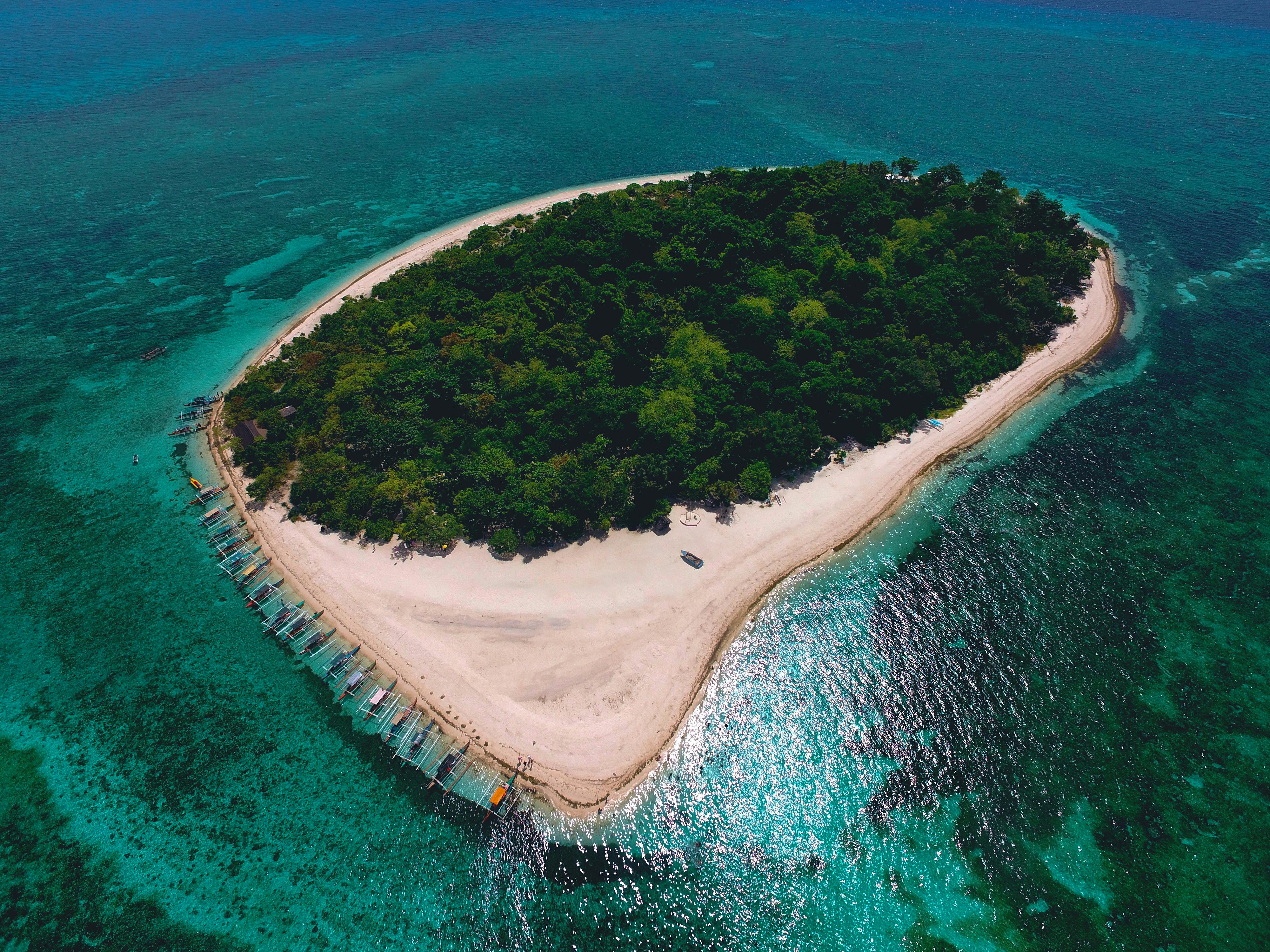 Survey of various marine ecosystems is essential for studying human impacts to coastal areas