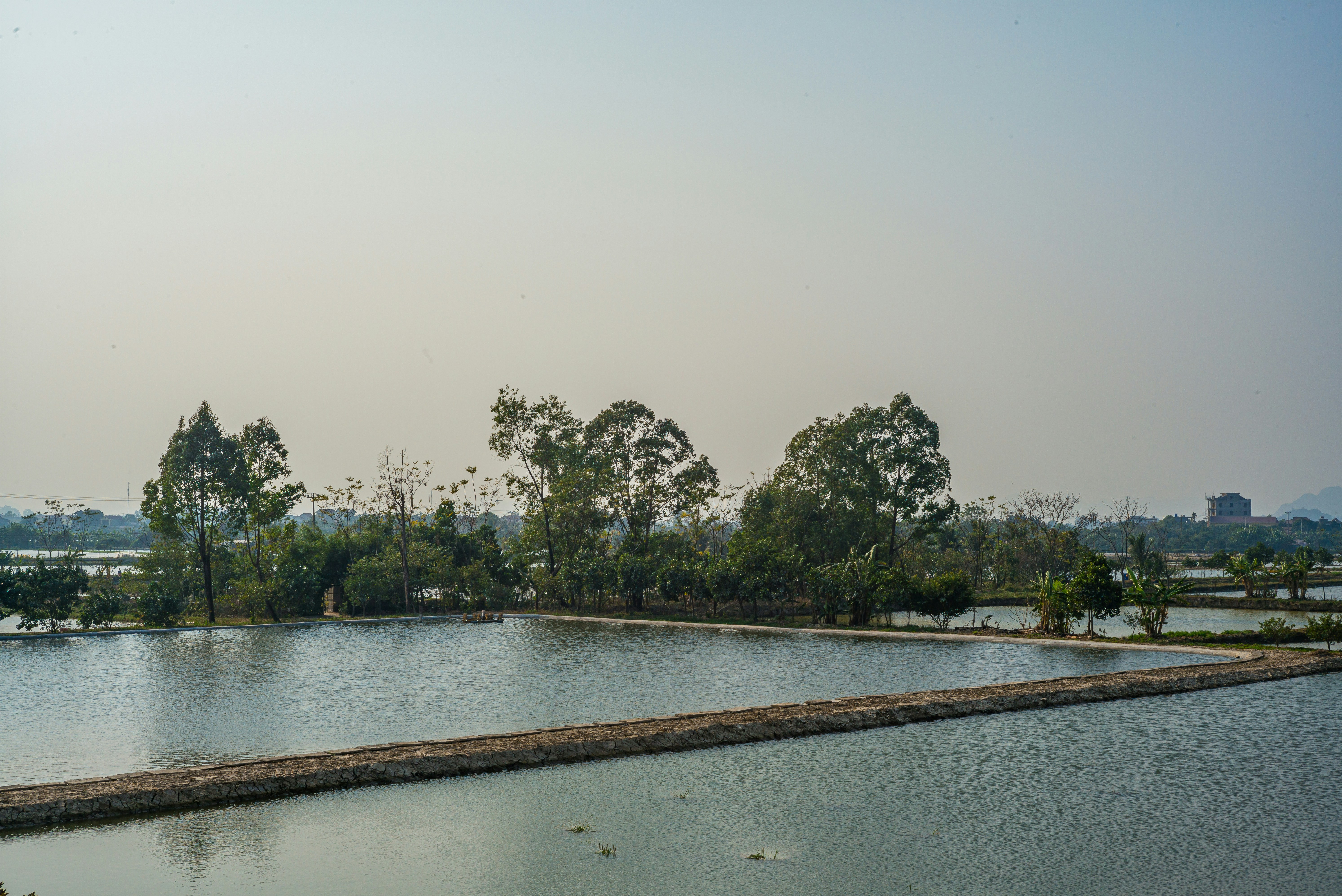 Abandoned shrimp ponds