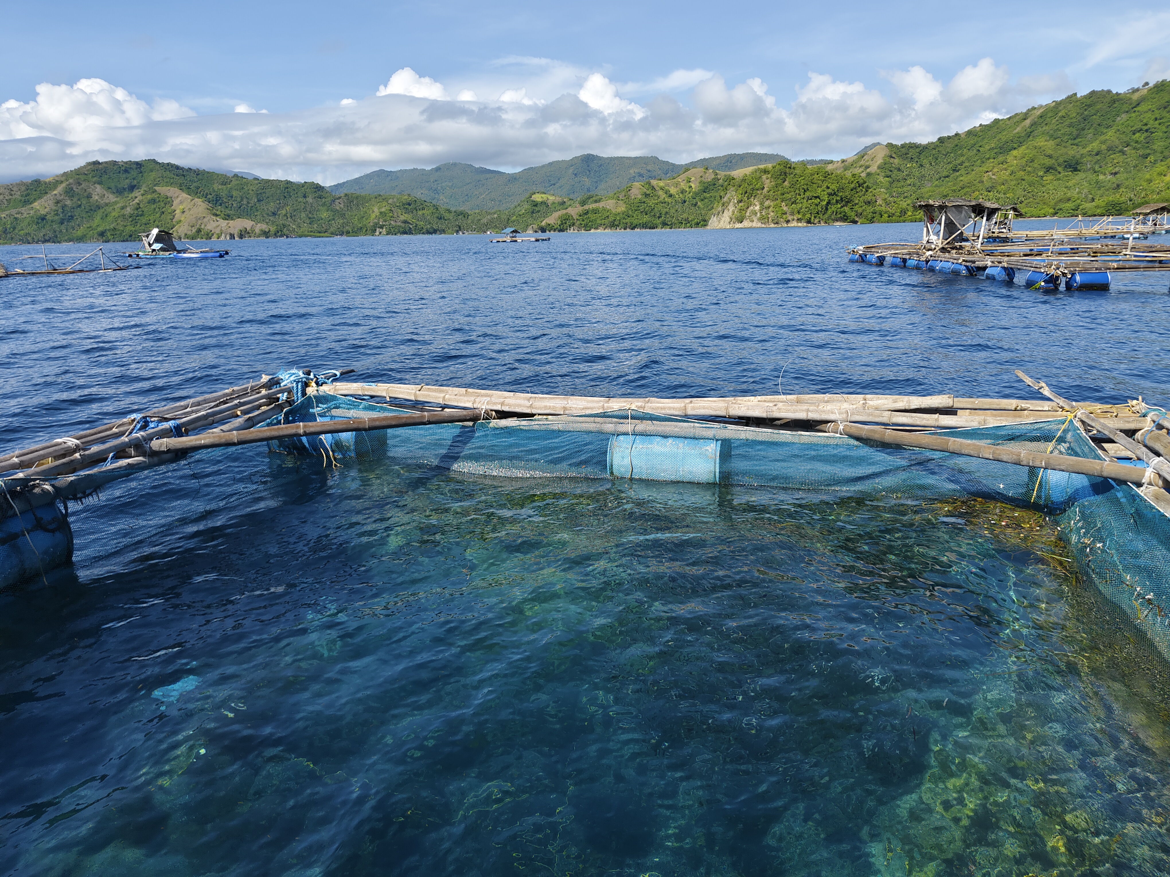 Milkfish production is very important in the Philippines as it is a top aquaculture commodity