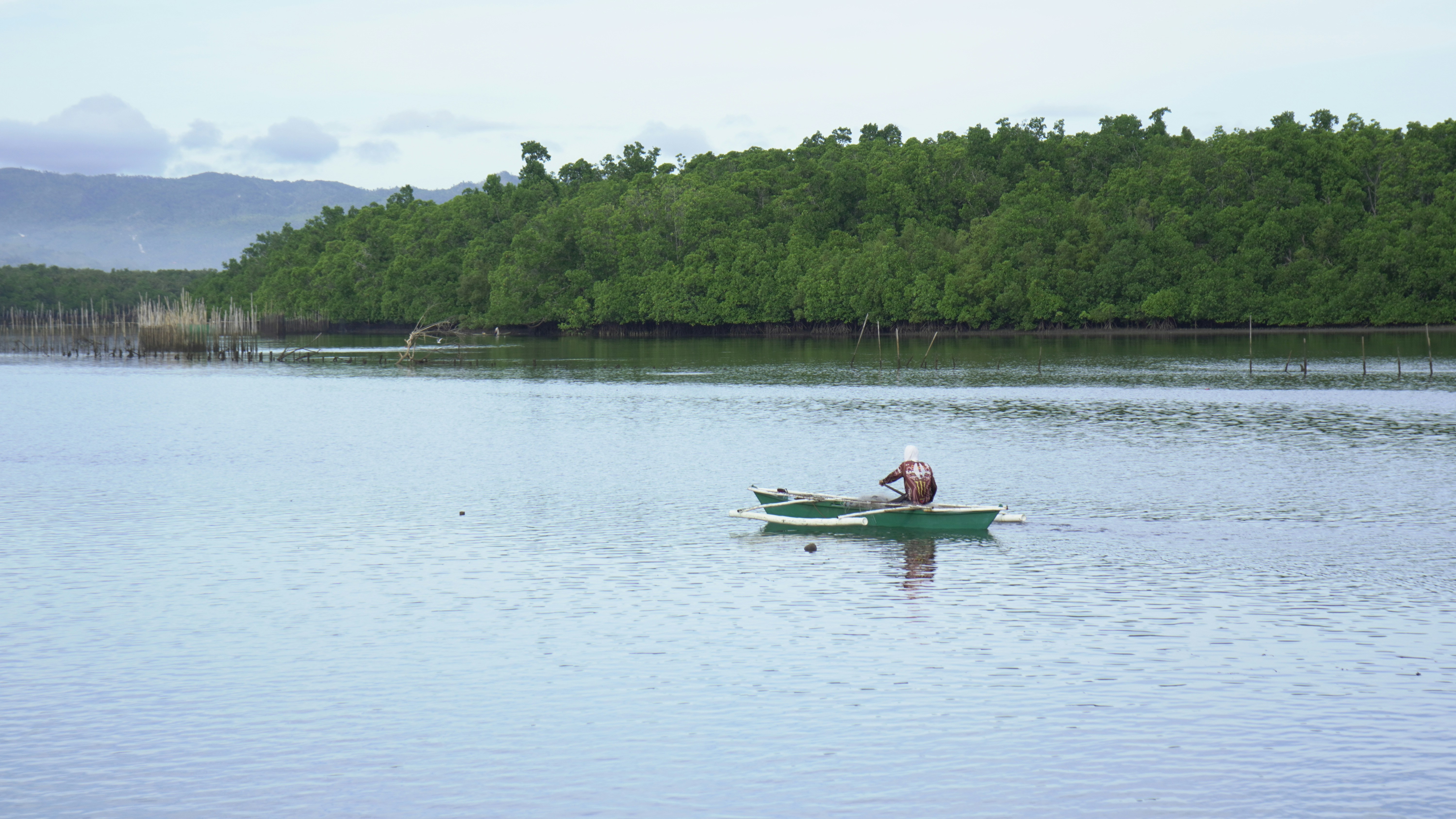 Coastal waters need to be monitored for heavy metals and protection of marine ecosystems