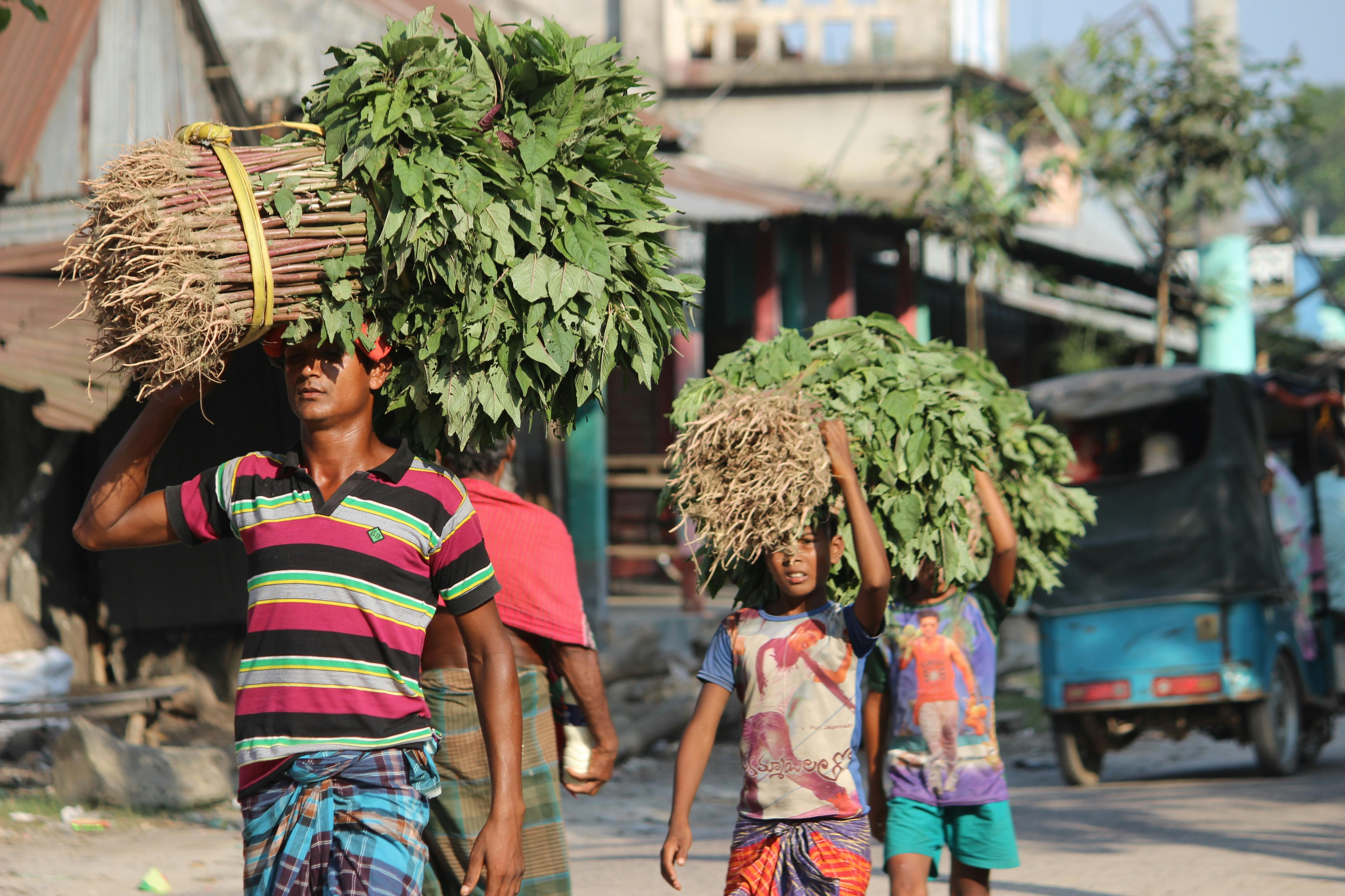 Photo depicting child labor 