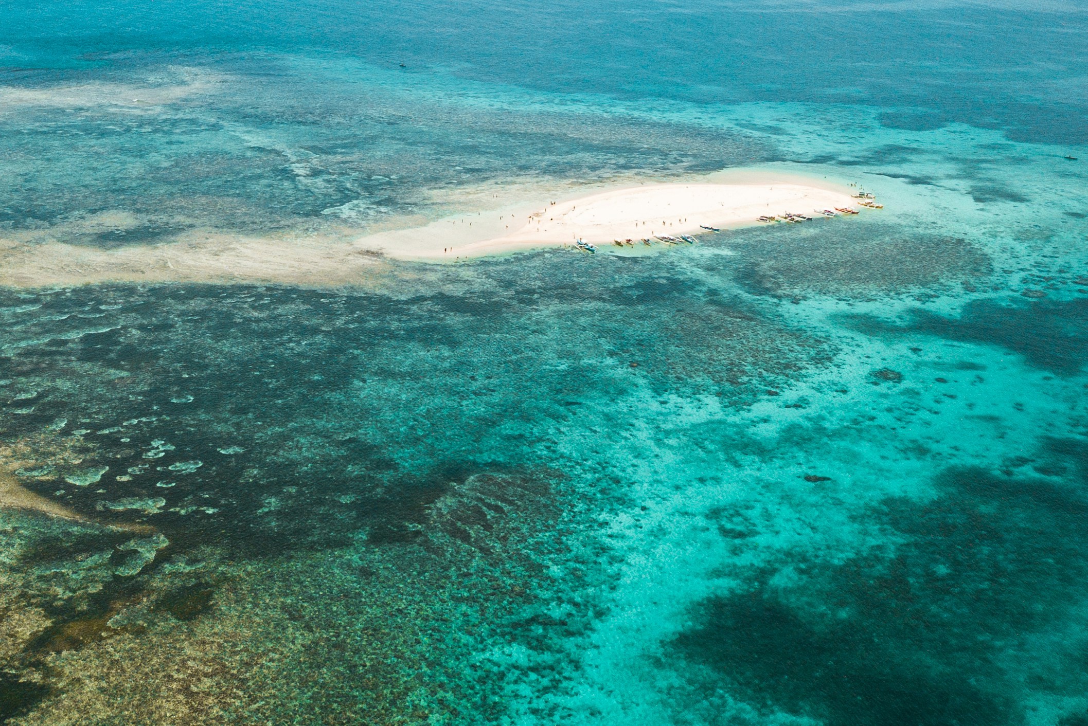 MPAs are needed to protect both fish and marine ecosystem habitats