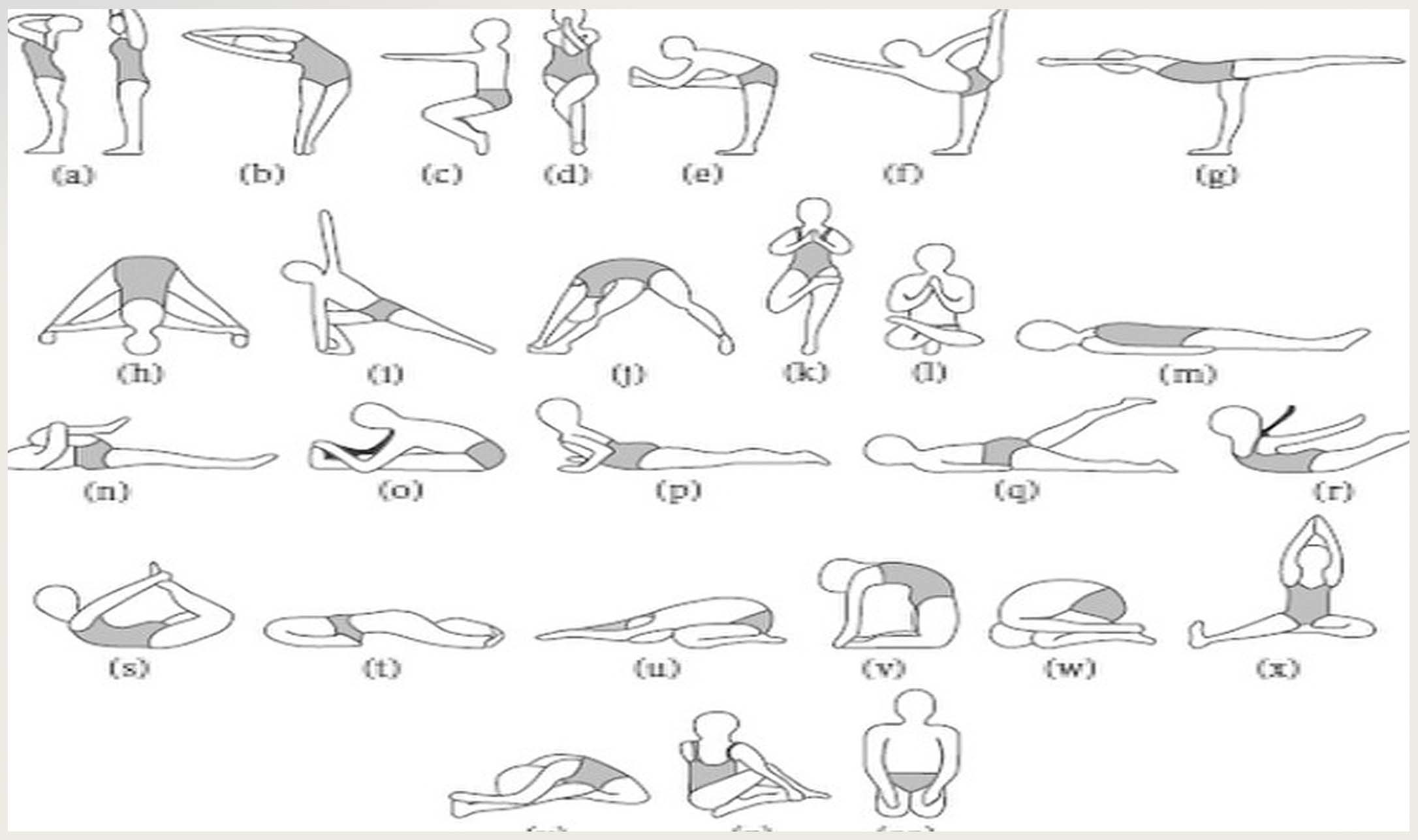 Alignment & Breakdown of Traditional Hot 26 Poses - Root to Rise Yoga Hot  Yoga Denver Wellness